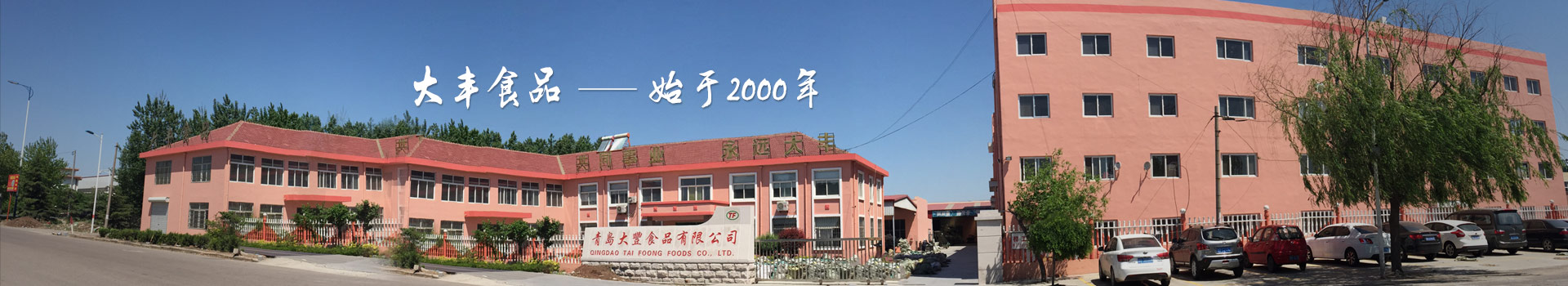 大豐食品，始于2000年