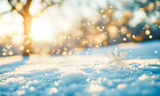 【喜報】中船風(fēng)帆“‘產(chǎn)改’賦能、助工成匠”工作結(jié)碩果